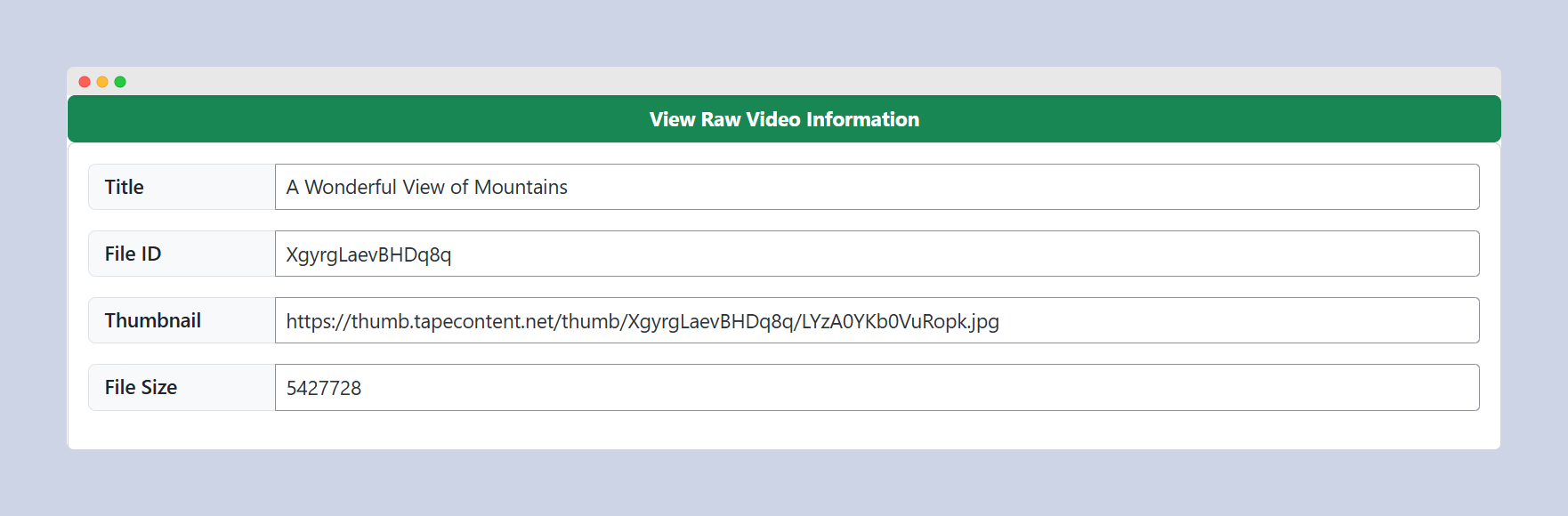 WPStape View Raw Video Information